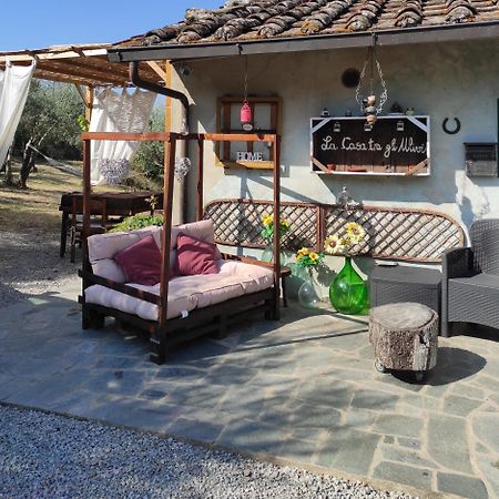 Bed and Breakfast La Casa Tra Gli Ulivi Кортона Экстерьер фото