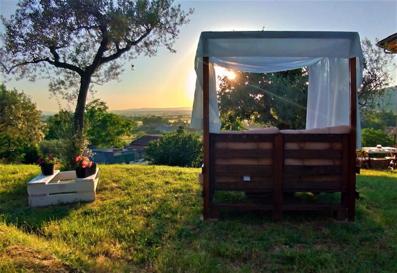 Bed and Breakfast La Casa Tra Gli Ulivi Кортона Экстерьер фото
