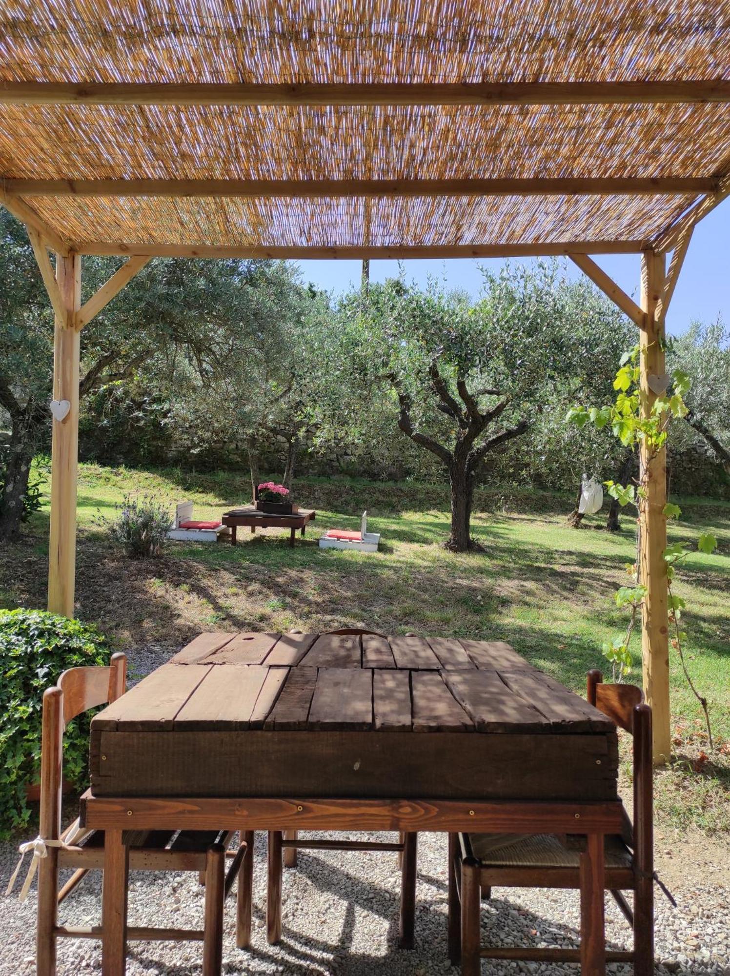 Bed and Breakfast La Casa Tra Gli Ulivi Кортона Экстерьер фото